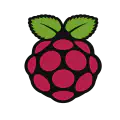 Raspberry Pi für die professionelle Produktentwicklung - Eine gute Idee?